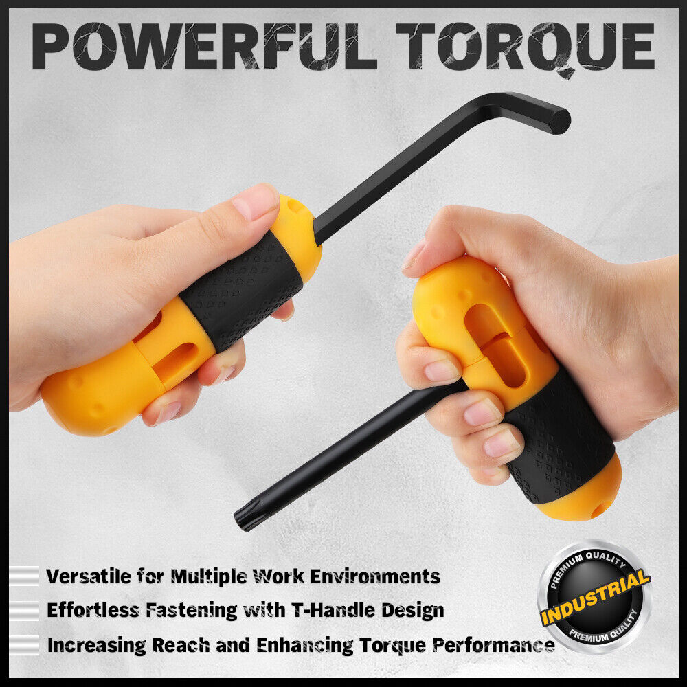 "41-piece hex and torx key allen wrench set with T-handle, featuring metric and SAE sizes, ideal for mechanics and DIY enthusiasts."