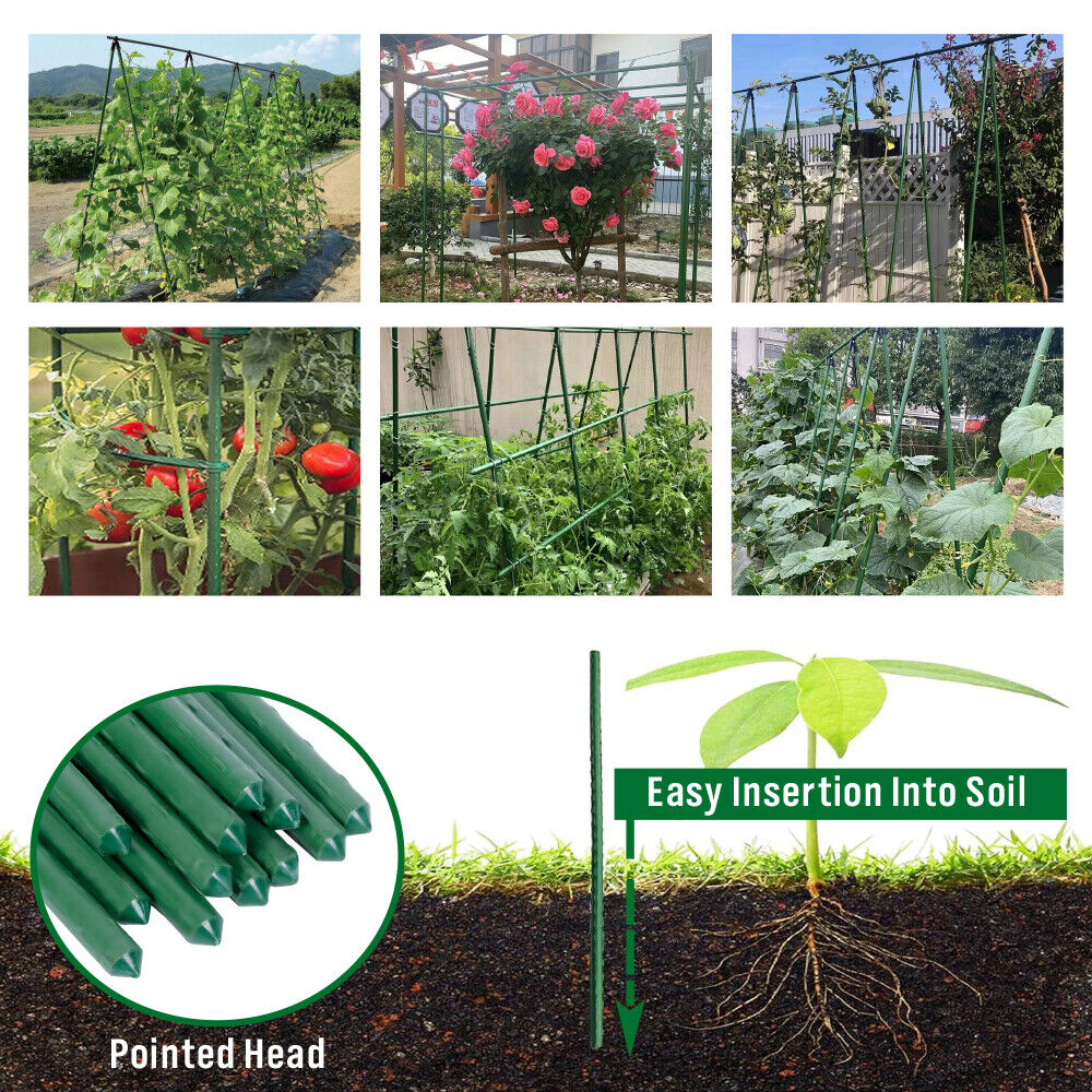 12-Pack Heavy-Duty Garden Stakes | Green Coated Metal Support for Plants | 150cm & 180cm Options
