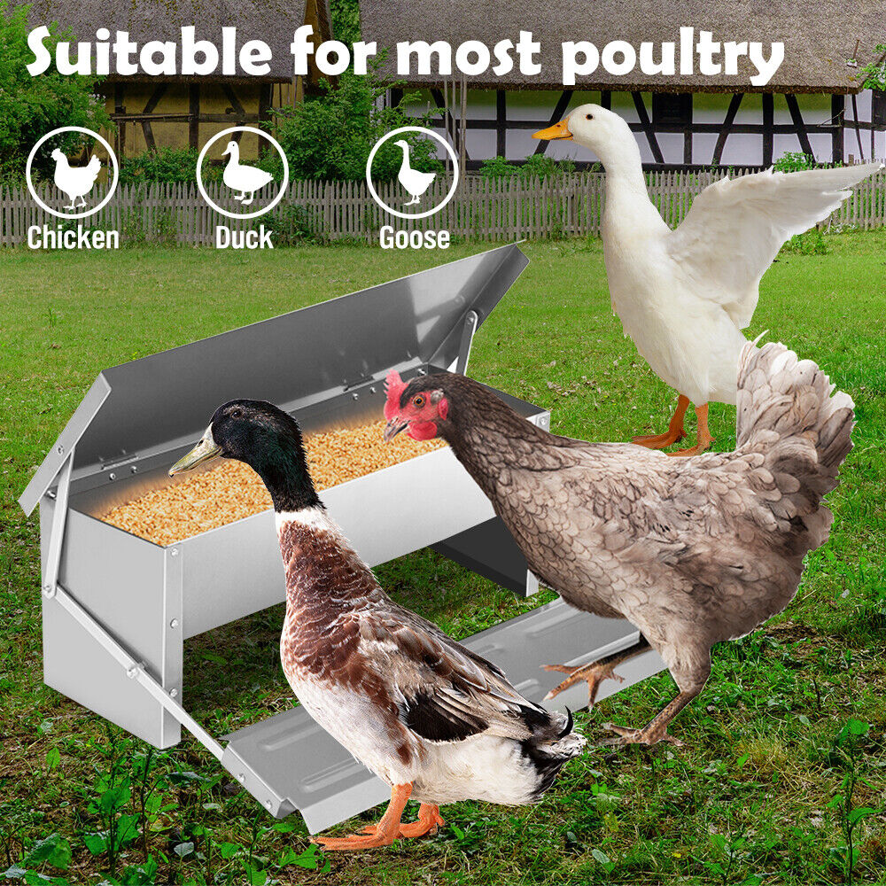 VaKa Automatic Chicken Feeder with a capacity of 5/10KG, featuring a self-opening, weight-operated lid to keep feed secure and fresh