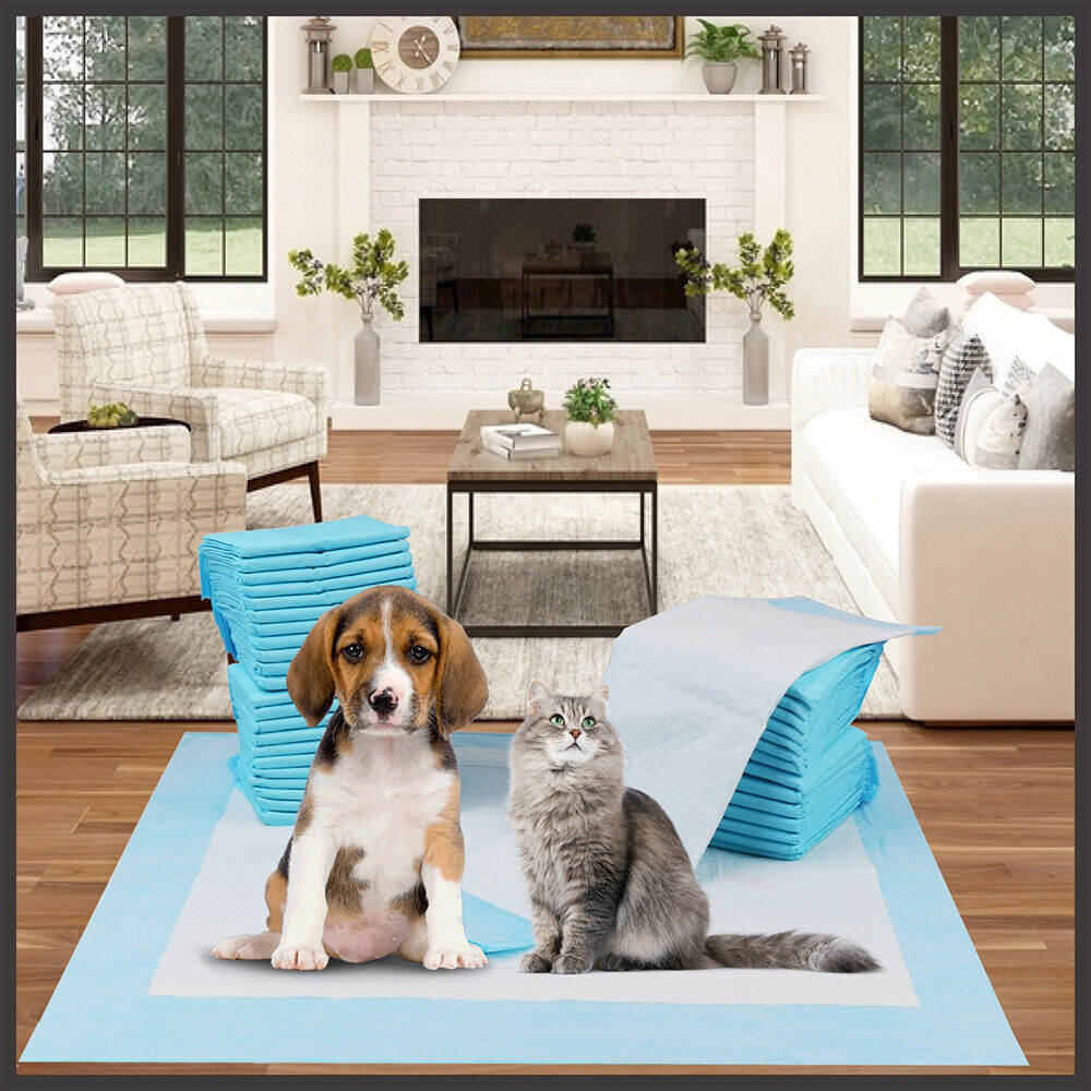 Pet Toilet Training Pads | 60x60cm Super Absorbent | Leak-Proof & Odour Neutralising