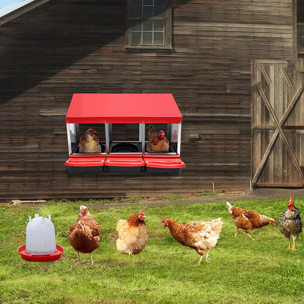 Durable galvanized steel chicken nesting box highlighting safe egg collection, ventilation, and sturdy anti-rust design.