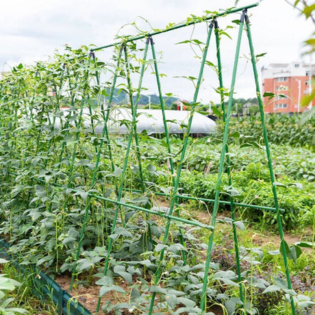 Bundle of 12 green coated metal garden stakes, 16mm diameter, available in 150cm and 180cm lengths for plant support