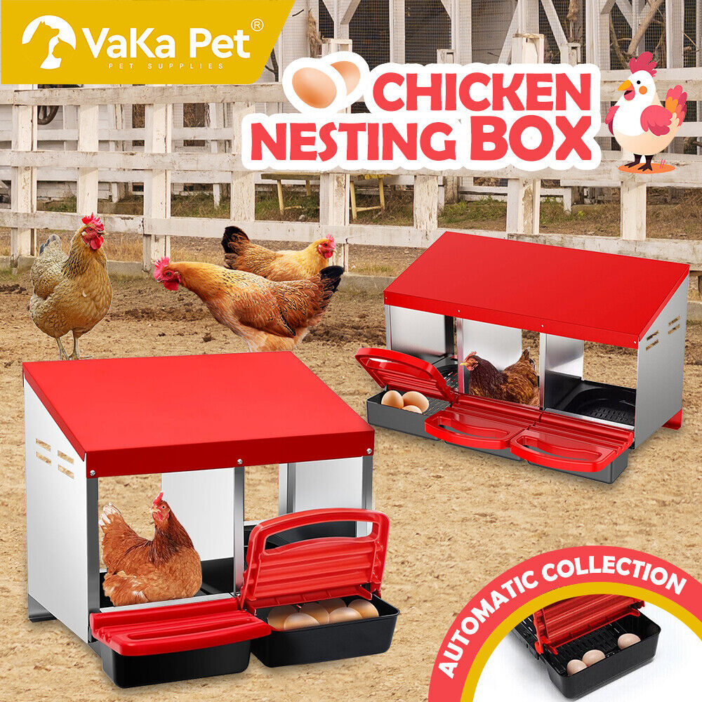 Durable galvanized steel chicken nesting box highlighting safe egg collection, ventilation, and sturdy anti-rust design.