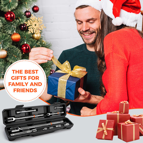 HORUSDY 10-piece dual drive breaker bar set with 360-degree flex head, extensions, adapters, and storage case