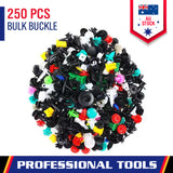 250PCS universal car fastener clips mixed set for bumpers, doors and interior trim repair in Australia