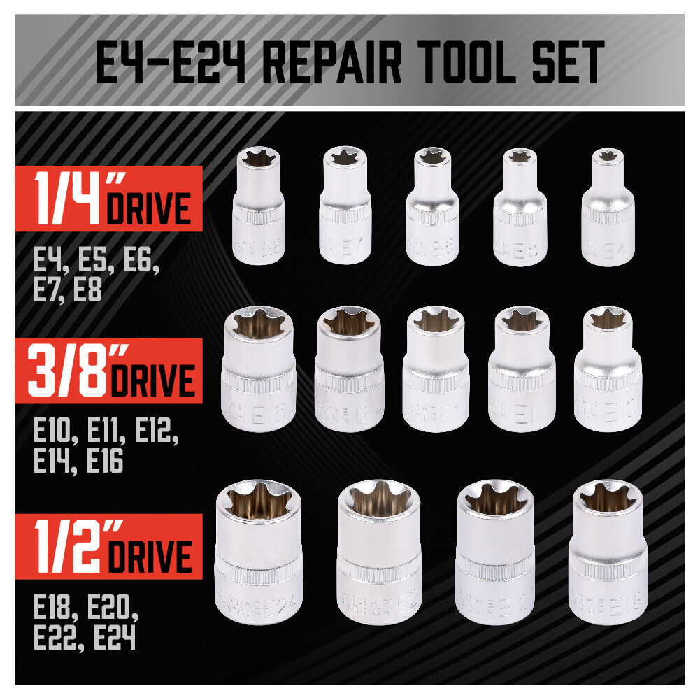 Complete 14-Piece E Torx Socket Set Ranging from E4 to E24 in Durable Chrome Vanadium Steel with Case