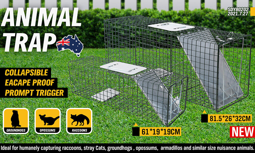 Humane steel animal trap cage in two sizes, ideal for safely catching possums, foxes, rats, cats, rabbits, and birds without harm