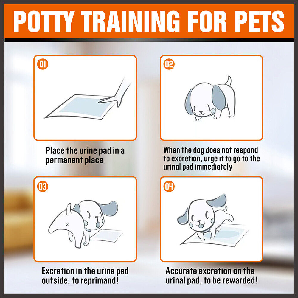 Highly absorbent 60x60cm pet training pads, perfect for puppies, dogs, and cats, with antibacterial and odour control features.