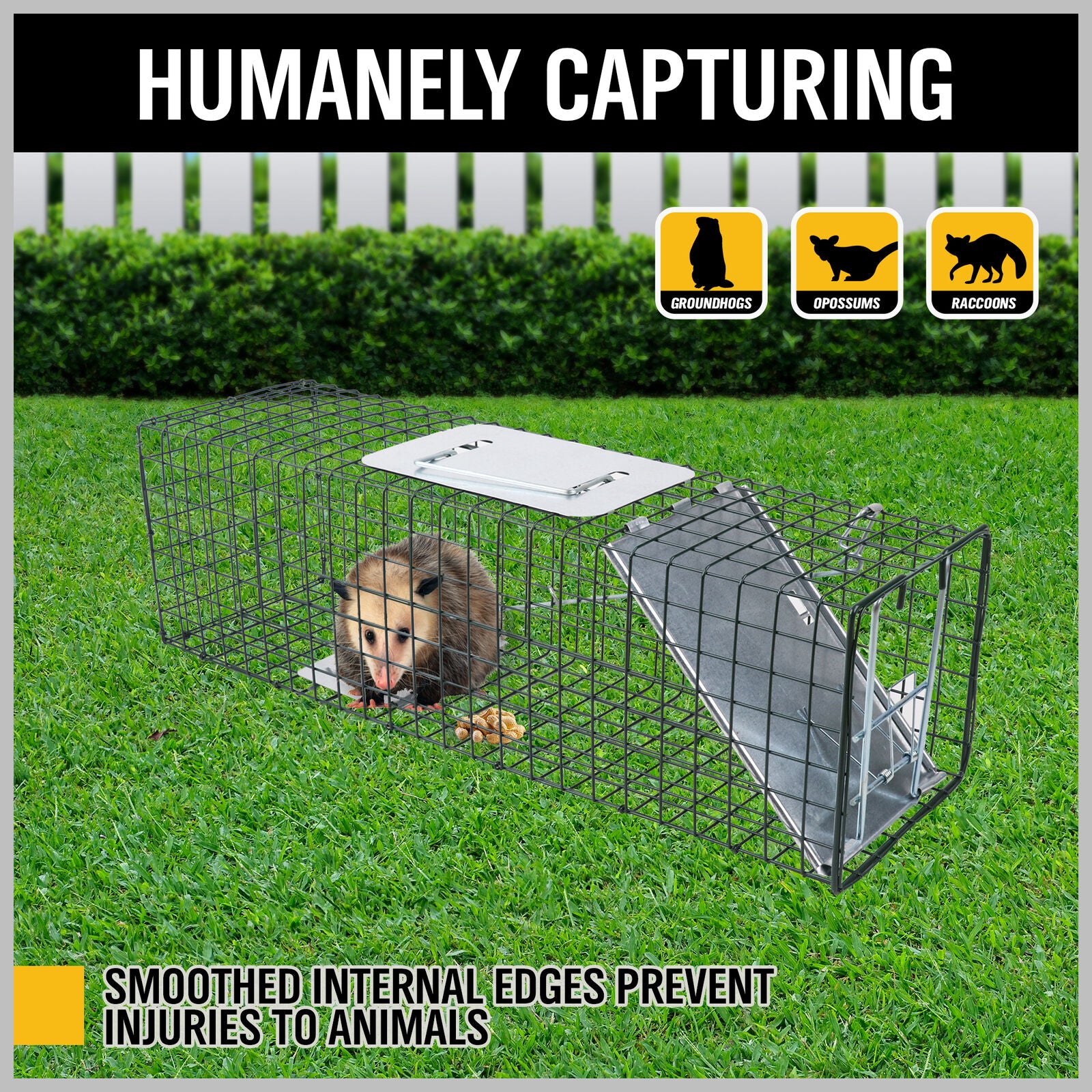 Humane steel animal trap cage in two sizes, ideal for safely catching possums, foxes, rats, cats, rabbits, and birds without harm