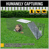 Humane steel animal trap cage in two sizes, ideal for safely catching possums, foxes, rats, cats, rabbits, and birds without harm