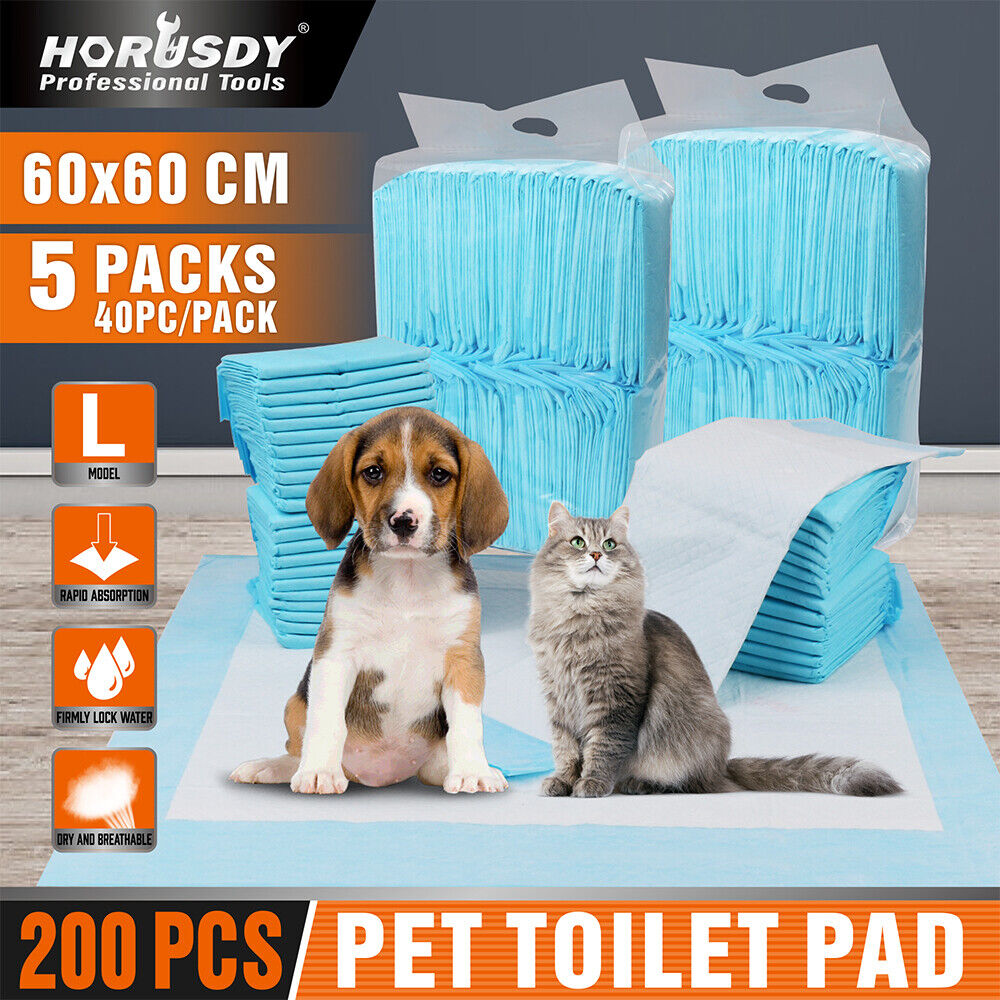 Highly absorbent 60x60cm pet training pads, perfect for puppies, dogs, and cats, with antibacterial and odour control features.