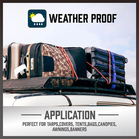 Premium 30-Piece Bungee Cords Awning Tarp Clips Set - Durable, Elastic, and Versatile Tie Down Kit for Tents, Tarps, Canopies, and more